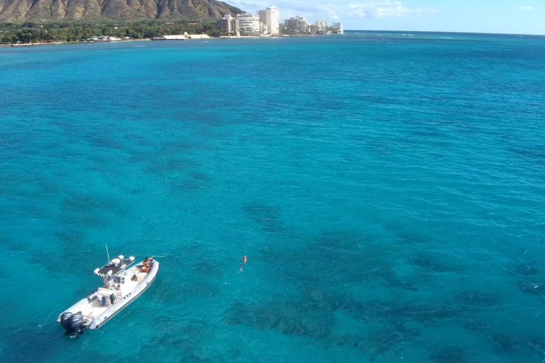 Oahu: Waikiki Private Snorkeling and Wildlife Boat Tour Waikiki Private Snorkeling and Wildlife Boat Tour