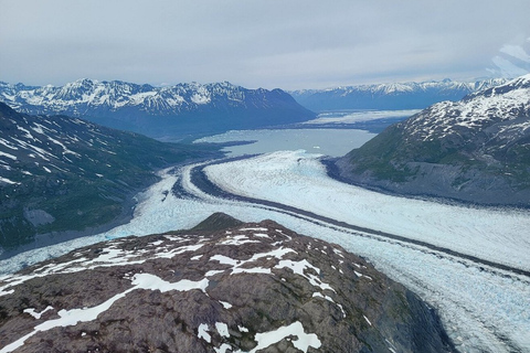 Palmer: "Dogs and Glaciers" Rodelen en Helikoptertour