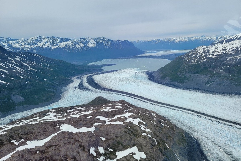 Palmer: "Dogs and Glaciers" Rodelen en Helikoptertour