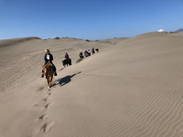 Visit Penguins Watching&HorseRiding&Barbecue Beach&Dunes FromStgo in Valle Nevado