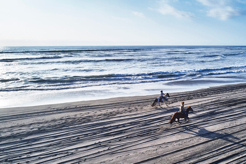 Penguins Watching&HorseRiding&Barbecue Beach&Dunes FromStgo