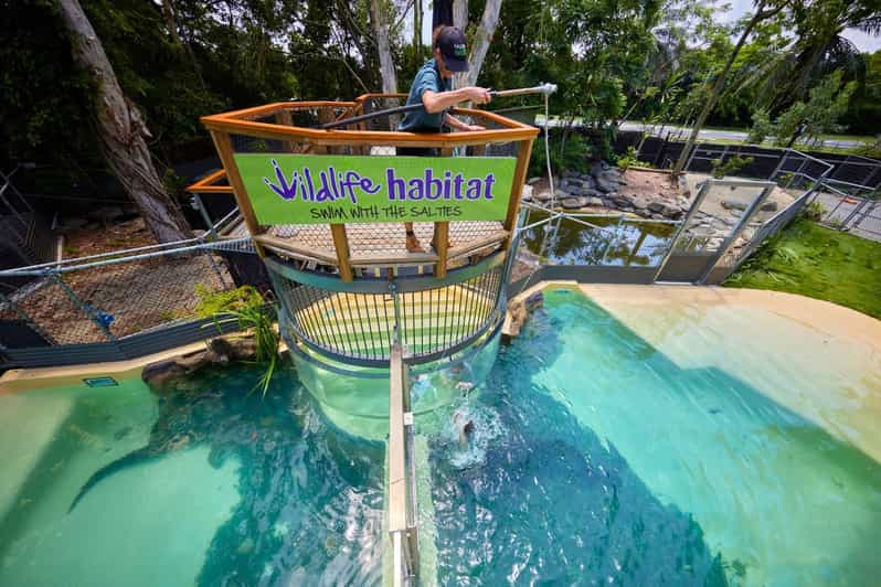 Wildlife Tour & Mossman GetYourGuide