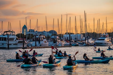 NYC: Sunset Kayak Tour of Manhattan from Jersey City