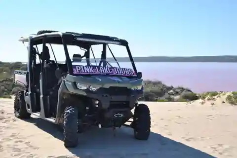 Gregory Excursión en Buggy por el Lago Rosa