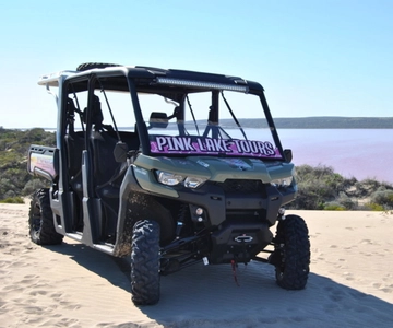Gregory Excursión en Buggy por el Lago Rosa
