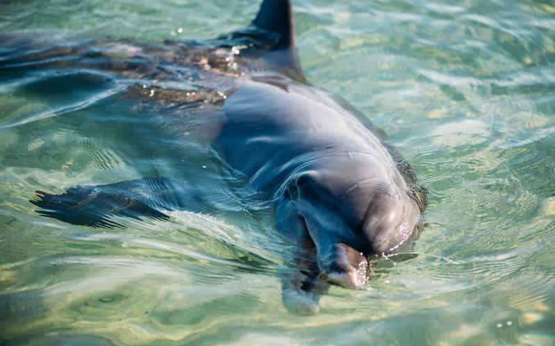 From Perth: 4 Day Outback & Coastal Tour with German Guide