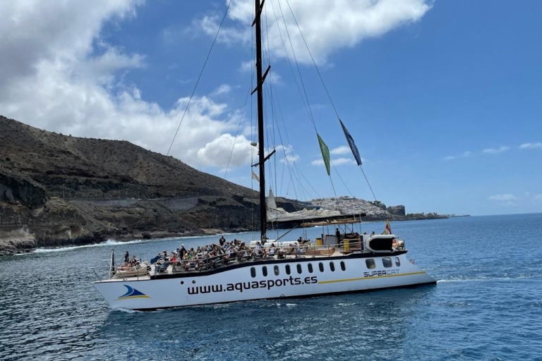 Puerto Rico: 2 uur durende catamaranexcursie met dolfijnen