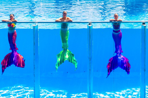 From Antalya/Kemer: Dolusu Park (Standart Package) Antalya/Kemer: Dolusu Park Standard Entry Ticket