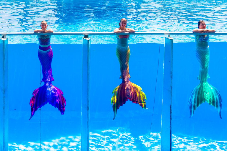 From Antalya/Kemer: Dolusu Park (Standart Package) Antalya/Kemer: Dolusu Park Standard Entry Ticket