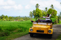 Pesagi, explorando las gemas ocultas de West Bali con VW Thing - Housity
