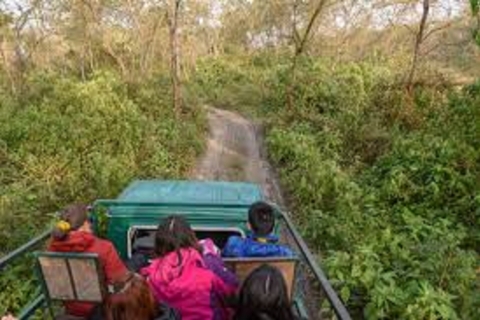 2 Nächte 3 Tage Chitwan Nationalpark Tour ab Kathmandu