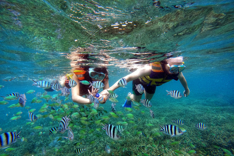 Lombok: Excursión privada en barco para hacer snorkel en las islas Gili