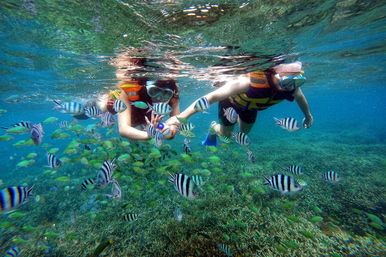 Lombok: Snorkeling privato a Gili Nanggu, Sudak e Gili Kedis