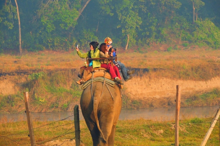 Katmandou : 3 jours de safari dans la jungle, la culture et la vie sauvage