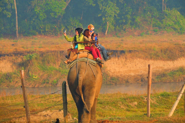 Katmandu: excursão de 3 dias pela vida selvagem, cultura e safári na selva