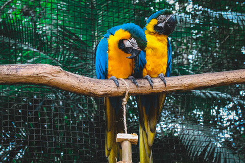 Katmandou : 3 jours de safari dans la jungle, la culture et la vie sauvage