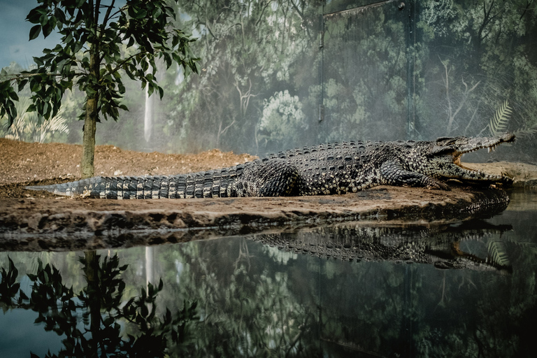 Katmandou : 3 jours de safari dans la jungle, la culture et la vie sauvage