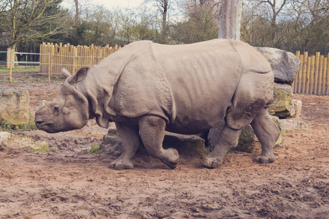 Katmandou : 3 jours de safari dans la jungle, la culture et la vie sauvage