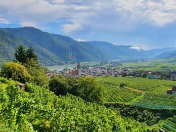 Wachau E-Bike Tour (Krems bis Melk) inkl. KTM Leihbike