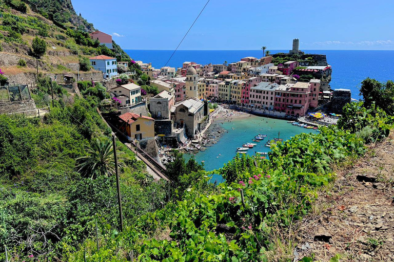 Tour di 2 giorni: Pisa, Cinque Terre e ToscanaTour combinato di 2 giorni