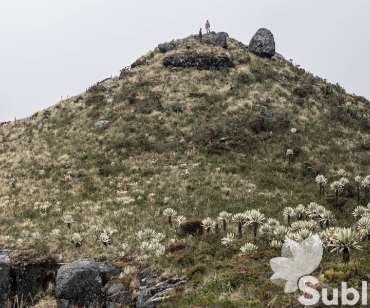 Paramo Guatanfur: Hike to Pan de Azucar Hill