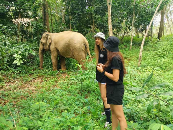 Khao Lak Elephant Sanctuary, Khao Lak Book Tickets & Tours GetYourGuide