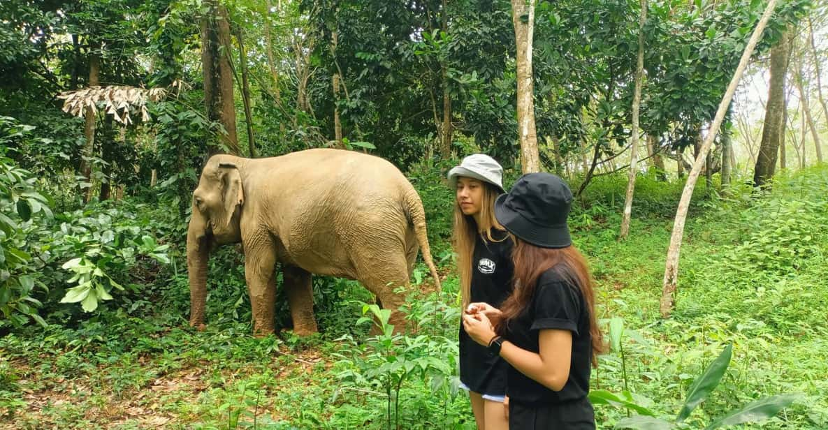 Full Day Tour in Khao Lak Elephant Sanctuary | GetYourGuide