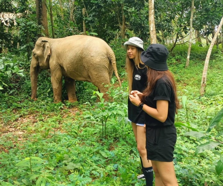Volledige dagtour in het olifantenreservaat Khao Lak