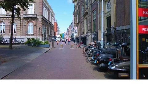 Private Halbtagestour durch Delft und Den HaagVon Den Haag nach Delft Englisch
