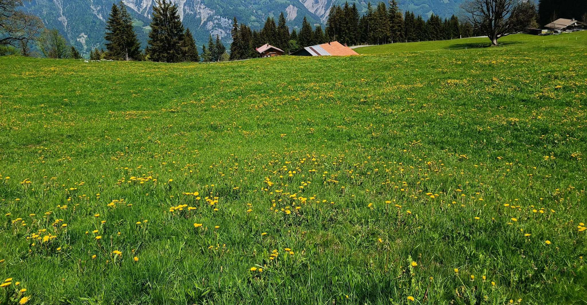 Interlaken, Tournée des faits saillants avec un local en voiture privée - Hizvo