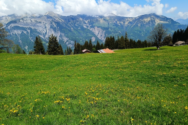 Interlaken: Highlights Tour with a Local by Private Car 5-hour half-day tour