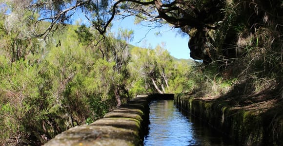 Madeira: Levada Walking Tour - Rabaçal 25 Fontes