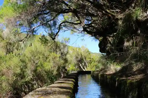 Madeira : Walking Tour-Rabaçal /25 Fontes