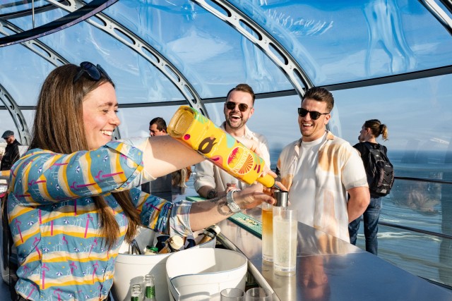 Visit Brighton Sky Bar i360 Entry Ticket with One Drink in Seven Sisters