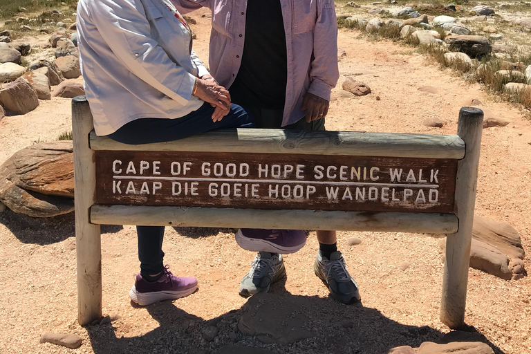 Cape Peninsula Private Tour