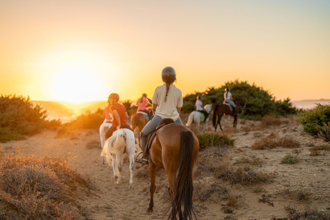 Agadir ou Taghazout : Randonnée à cheval sur les plages et dans les ranchs