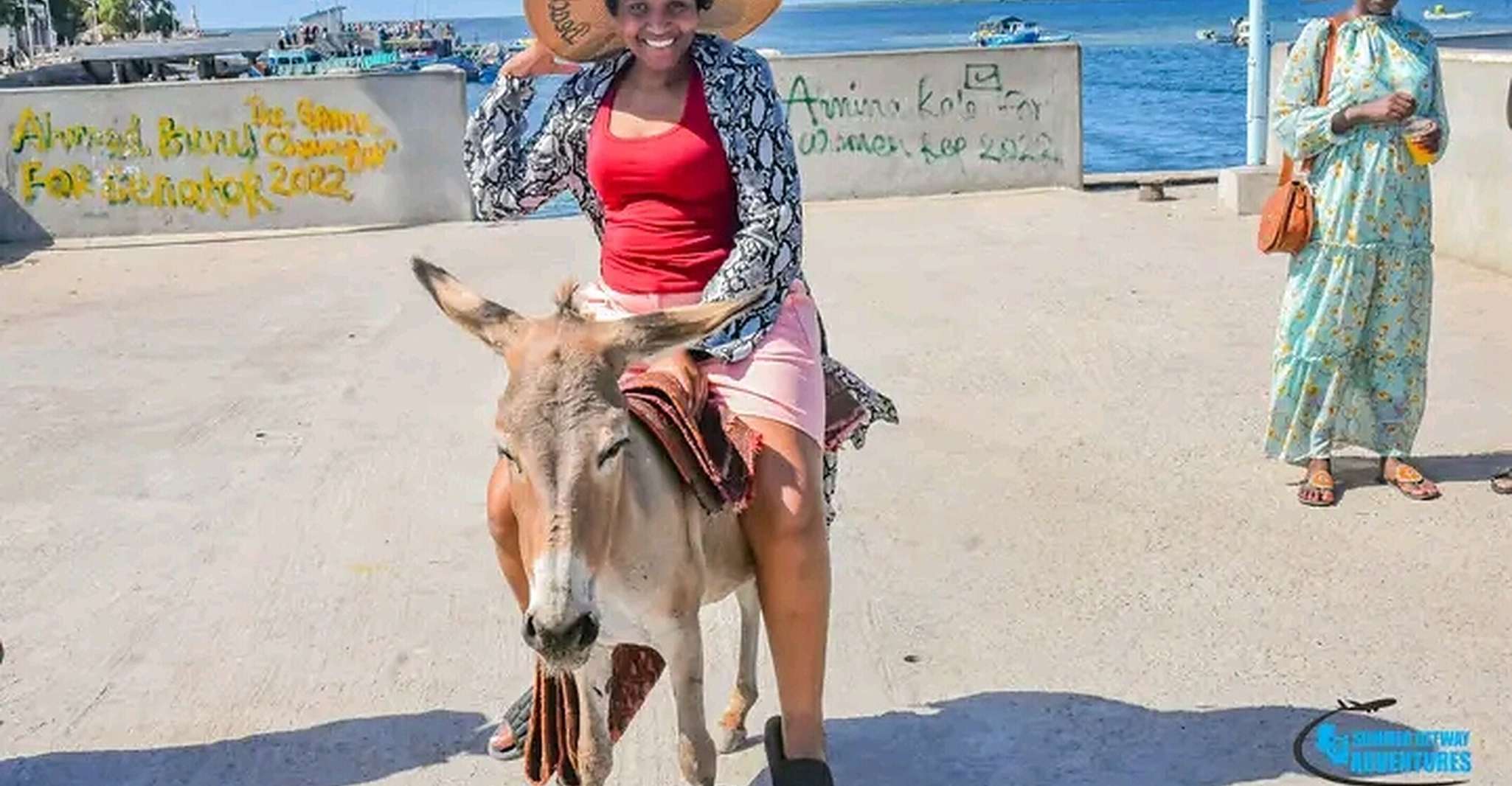 Kulturelle und historische Wanderung von Lamu City. - Housity