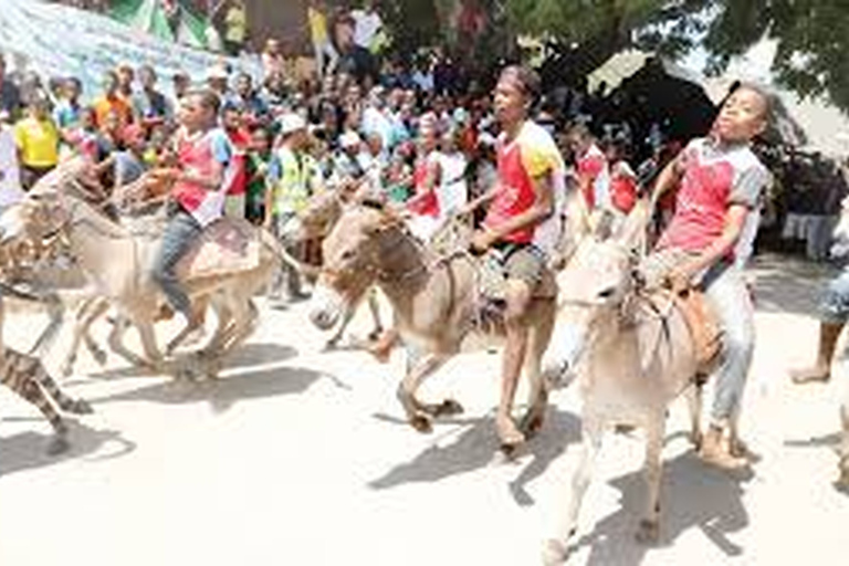 Kultureller und historischer Rundgang durch die Stadt Mombasa.