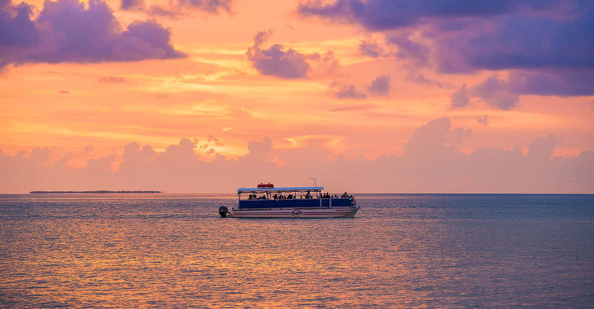 Crystal River: Kings Bay Manatee Sunset Cruise | GetYourGuide