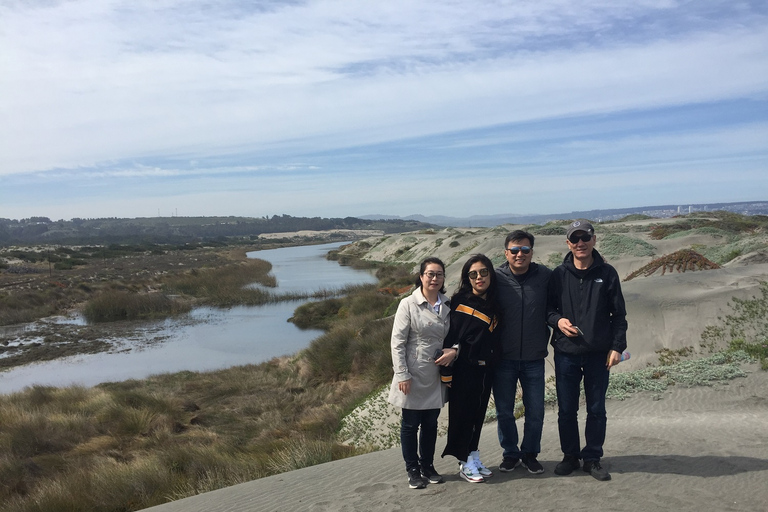 Lunch, Birdwatching in Wetlands &amp; Horse Ride from Valparaíso