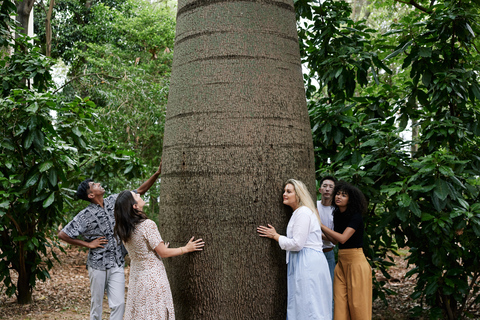 Adelaide: culturele rondleiding door de botanische tuin van Adelaide