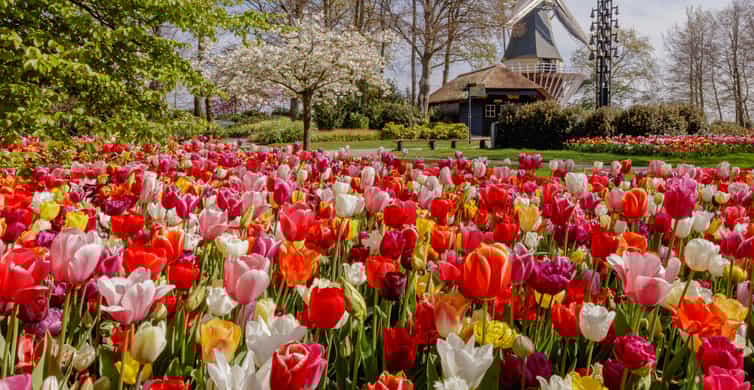 Amsterdam: Keukenhof Entry & Shuttlebus with Flexible Return photo 16