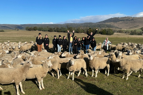 6D5N Tasmania svelata: alla scoperta di icone e gemme nascoste