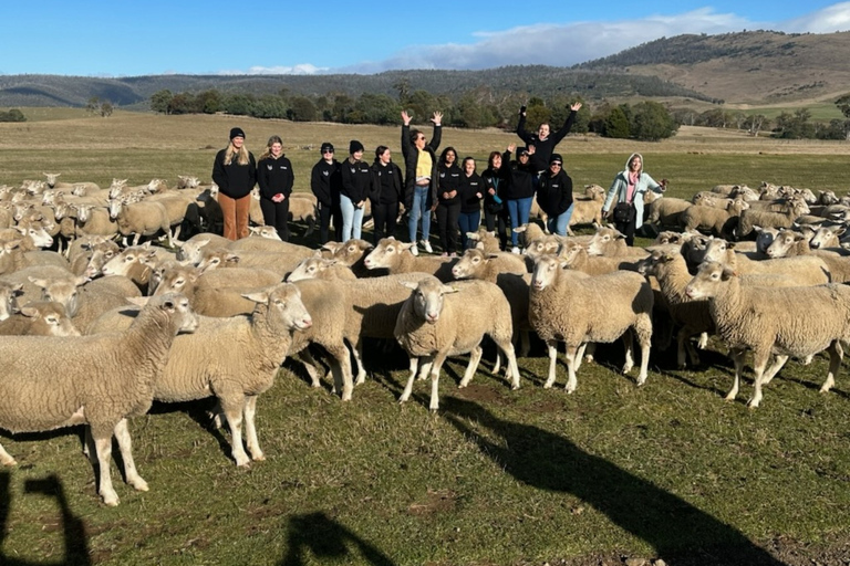 6D5N Tasmânia revelado: descobrindo ícones e joias escondidas