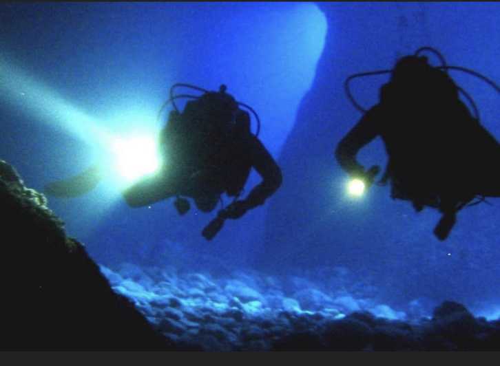 local scuba night dive