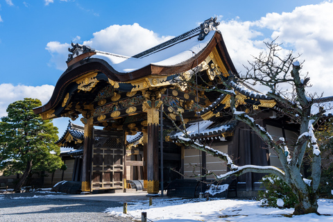 Kyoto: Kejsarpalatset &amp; Nijo-slottet Guidad vandringsturKyoto: Nijo slott och det kejserliga palatset: Guidad rundvandring