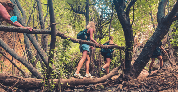 Punta Cana: Los Haitises Hike & Mangrove Kayaking
