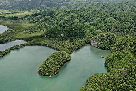 Punta Cana: Los Haitises Hike & kajakken mangroven