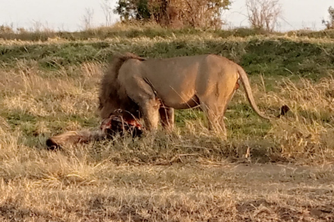 Au départ de Nairobi : Excursion de deux jours dans le parc national d'Amboseli