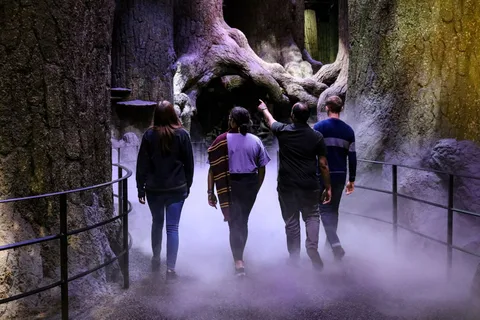 Harry Potter Warner Bros. Studio Tour with Transfer